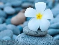 你的碗里，藏着你一生的福气
