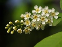 民间顺口溜，谁想出来的？太有才了！