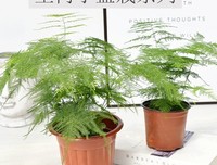 小幸福的句子