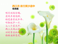 《明而了子气你枝惊鹊》经典语录