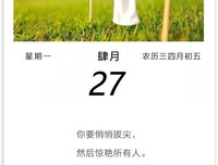 夏日阳光不暖心i优美的句子