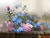 描写一声不吭的语句摘抄