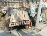 除夕夜，她要烧死丈夫的女儿。