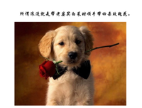 老女人们还要什么人生答案？瞎过瞎开心