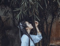 当时只道是寻着成句子