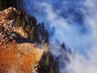 时人性1314经典名句