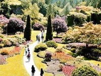 交织的目光：西方绘画500年读后感精选