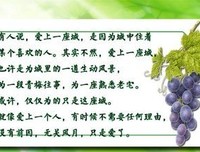 有关浮尘念心名言