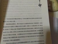 万物既伟大又渺小读后感锦集