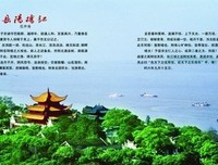 《大河之源》的读后感大全