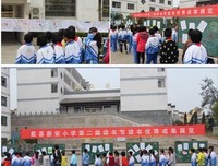 蜜蜂与雾读后感摘抄