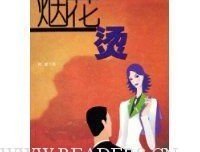 烟花烫读后感100字