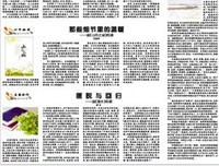 《蒙面之城》读后感1000字