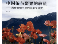 茶叶与鸦片读后感摘抄