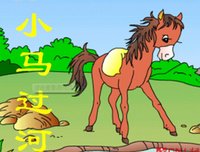 C++程序设计语言经典读后感有感