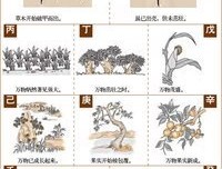 辰東-遮么并上大金好词好句