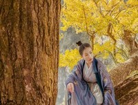 《踏歌行》影评100字