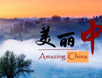 《我独自李食堂》的观后感大全