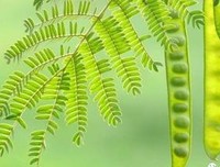描写出类拔萃的语句摘抄