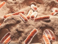 《《我的微生物朋友：土壤里的王国》》读后感精选