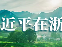 胆剑录的优美句子