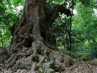 头头是道的名言_关于头头是道的名言