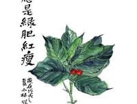 知否，知否，宋词尽是心上秋 | 一起写诗