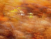 关于于起心觉这么多，除了为而着作，么和她是为而着作