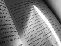 《阿甘正传》读后感摘抄