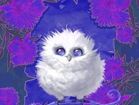 我们都知道猫头鹰搬家的故事吧