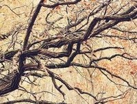 睿智经典的句子