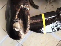 那是在暗暗地积蓄力量