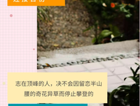 浑沌草的名言