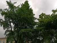 关于触动我的心的句子
