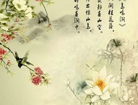诗意人生27期：身在红尘梦在天，心如静水度流年