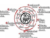 《舍不得看完的中国史》读后感100字