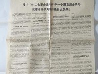 革命与反革命经典读后感有感