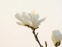 爱她，就给她期盼的