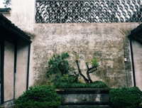 风将月种流转句子大全