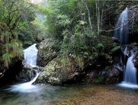 悟心句子大全
