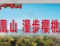 《樱桃园》好看吗？经典影评锦集