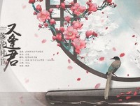 《落花时节又逢君》读后感100字