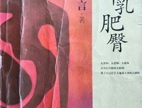 《丰乳肥臀》读后感摘抄