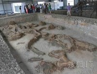 转生真龙（上下卷）读后感1000字