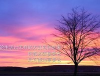 先秦名家名句句子大全