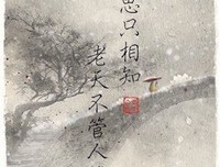 繁星的优美句子
