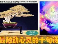 心灵触动的优美句子