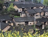 时光、流年的句子