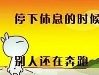企鹅凶猛读后感精选