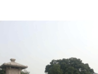 《长江》经典观后感1000字